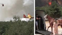 Horses Evacuated Amid Wildfire Threat Near Paris