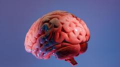 Indian Researchers Create Comprehensive 3D Brainstem Atlas