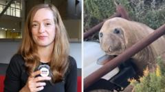 Viral Seal Neil Sparks Commotion in Southern Tasmania
